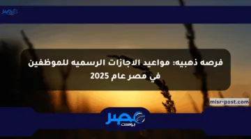 فرصة ذهبية: مواعيد الإجازات الرسمية للموظفين في مصر عام 2025